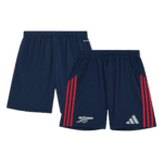 Mens Arsenal 2025/26 Away Kit