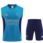 Mens Arsenal 2025/26 Blue Training Vest