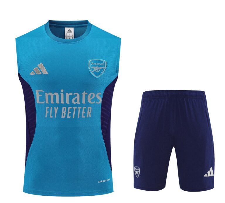 Mens Arsenal 2025/26 Blue Training Vest