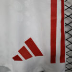 Mens Arsenal 2025/26 Home Shorts Player Version
