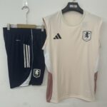 Mens Aston Villa 2025/26 pink Training Vest