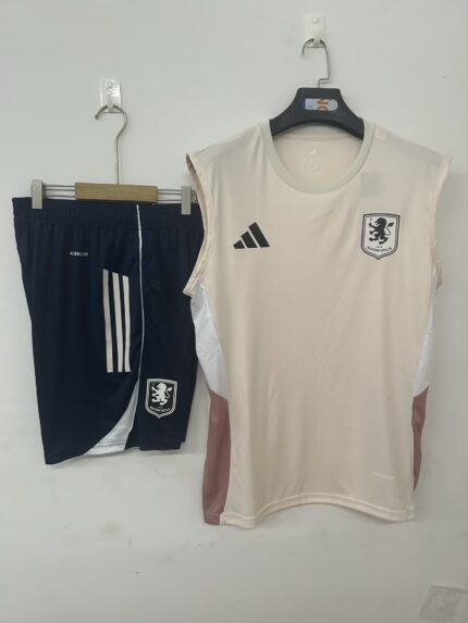 Mens Aston Villa 2025/26 pink Training Vest