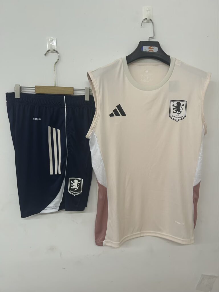 Mens Aston Villa 2025/26 pink Training Vest