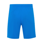 Mens Atletico Madrid 2025/26 Third Shorts