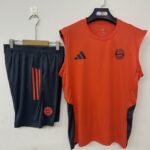 Mens Bayern Munich 2025/26 Orange Training Vest