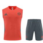 Mens Bayern Munich 2025/26 Red Training Vest