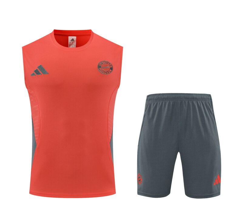 Mens Bayern Munich 2025/26 Red Training Vest