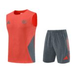 Mens Bayern Munich 2025/26 Red Training Vest
