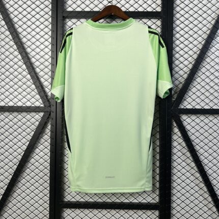 Mens Benfica 2025/26 Goalkeeper Green Training Jersey