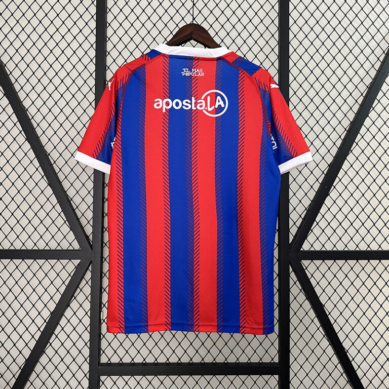 Mens Cerro Porteno 2024/25 Home Jersey