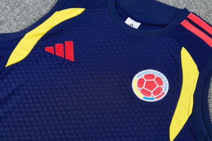 Mens Colombia 2026 World Cup World Cup Blue Training Vest