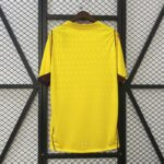 Mens Cruzeiro 2024/25 Goalkeeper Limited Edition Yellow Jersey