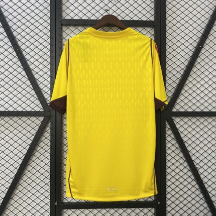 Mens Cruzeiro 2024/25 Goalkeeper Limited Edition Yellow Jersey