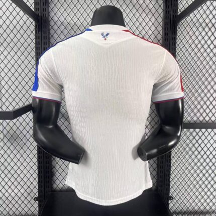Mens Crystal Palace 2025/26 Third Jersey Player Version