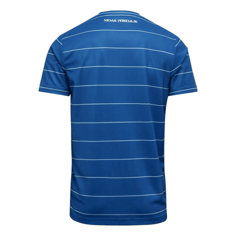 Mens Dinamo Zagreb 2025/26 Home Jersey