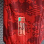 Mens England 2024 Special Edition Red Jersey Player Version