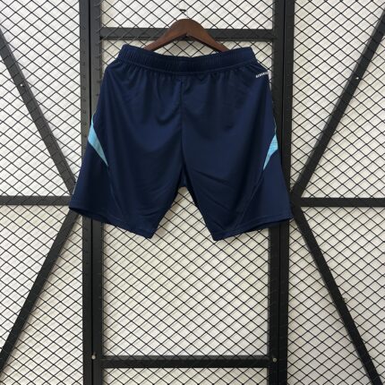 Mens Flamengo 2025/26 Blue Player Shorts