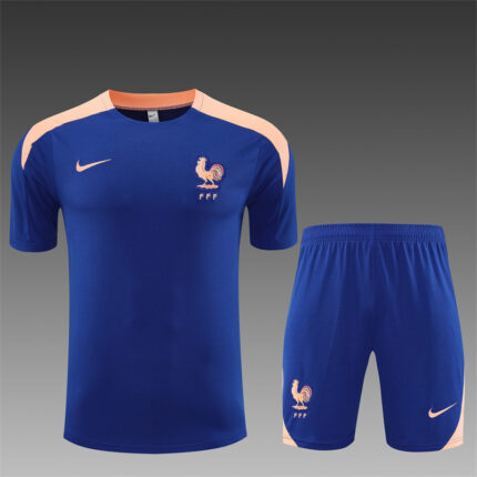 Mens France 2025 Blue Training Jersey