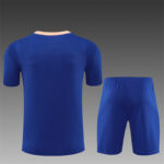 Mens France 2025 Blue Training Jersey