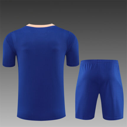 Mens France 2025 Blue Training Jersey
