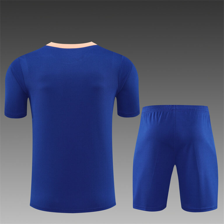 Mens France 2025 Blue Training Jersey