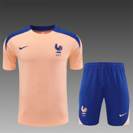 Mens France 2025 Pink Training Jersey