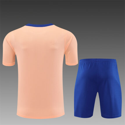 Mens France 2025 Pink Training Jersey