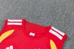Mens Germany 2026 World Cup Red Training Vest