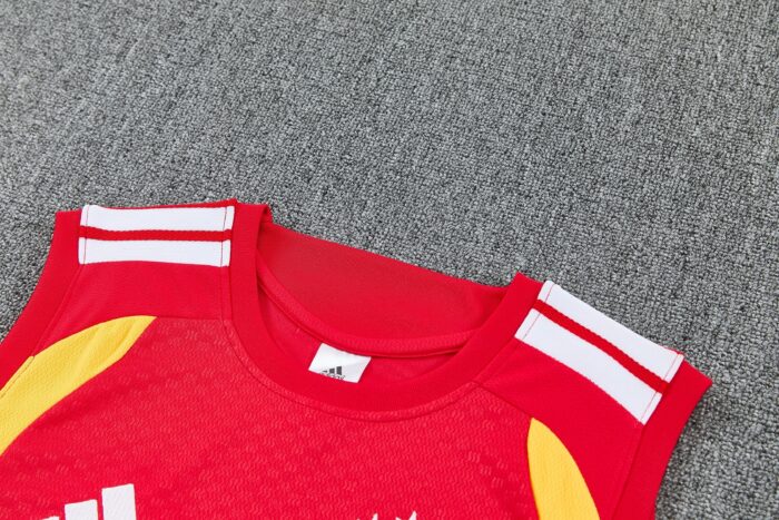 Mens Germany 2026 World Cup Red Training Vest