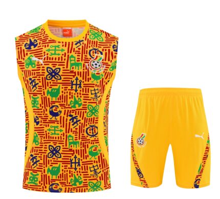 Mens Ghana 2025 Orange Training Vest