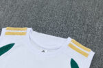 Mens Italy 2026 World Cup World Cup White Training Vest