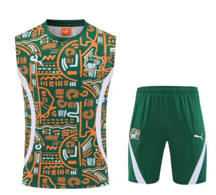 Mens Ivory Coast 2025 Blue Training Vest