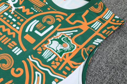 Mens Ivory Coast 2025 Blue Training Vest