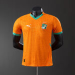 Mens Ivory Coast 2025 Home Jersey Player Version