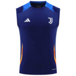 Mens Juventus 2024/25 Training Vest