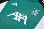 Mens Liverpool 2025/26 Green Training Jersey