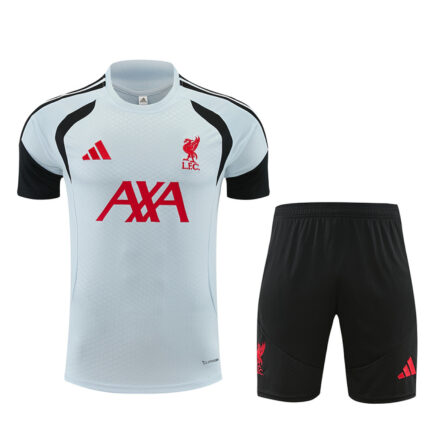 Mens Liverpool 2026/27 Light Gray Training Jersey