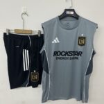 Mens Los Angeles FC 2025/26 gray Training Vest