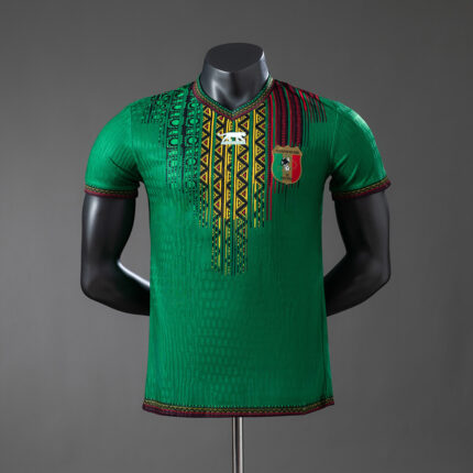 Mens Mali 2024 Away Jersey Player Version