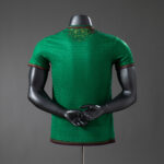 Mens Mali 2024 Away Jersey Player Version