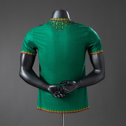 Mens Mali 2025 Green Jersey Player Version