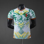 Mens Mali 2025 White Jersey Player Version