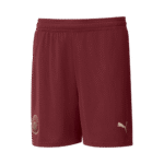 Mens Manchester City 2024/25 Third Shorts