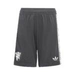 Mens Manchester United 2024/25 Third Kit