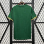 Mens Mexico 2025 green special Jersey