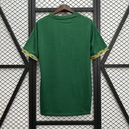 Mens Mexico 2025 green special Jersey