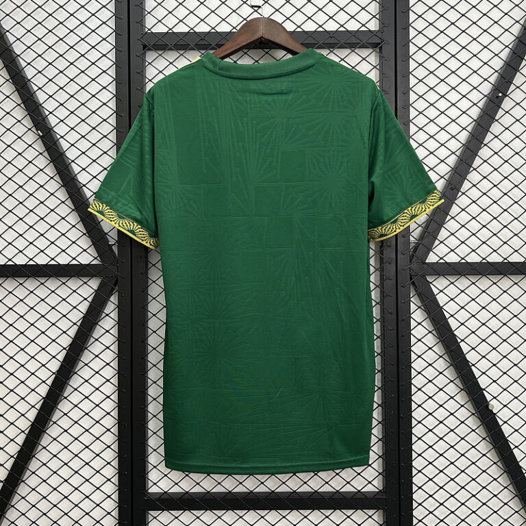 Mens Mexico 2025 green special Jersey