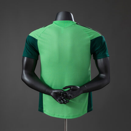 Mens Mexico 2026 World Cup Green Training Jersey Player Version