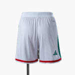 Mens Mexico 2026 World Cup Home World Cup Shorts Player Version