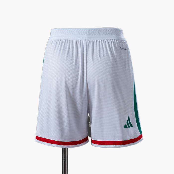 Mens Mexico 2026 World Cup Home World Cup Shorts Player Version